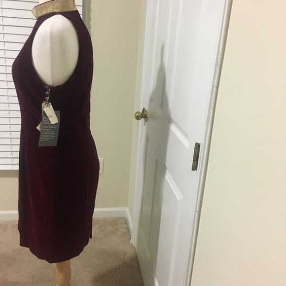 Gillian Velvet Dress - Picture 3 of 8